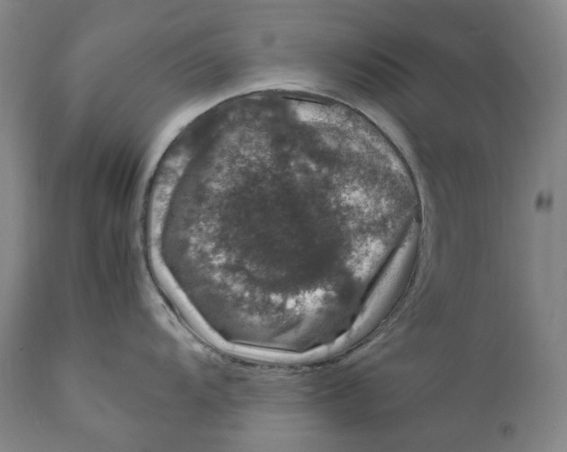 X0000111661104200908071427