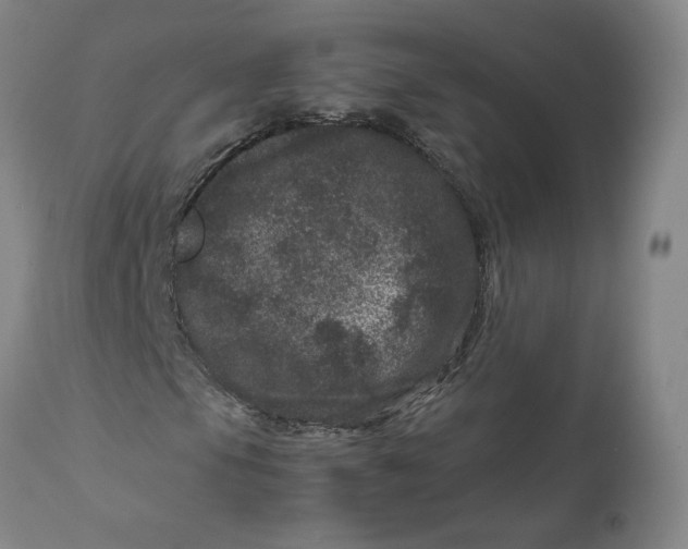 X0000111661105200908071426