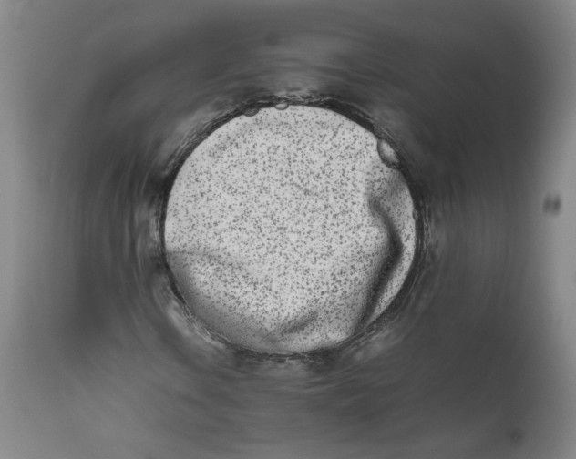 X0000111661106200908071426