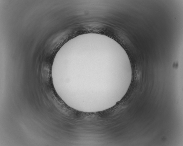 X0000111661108200908071426