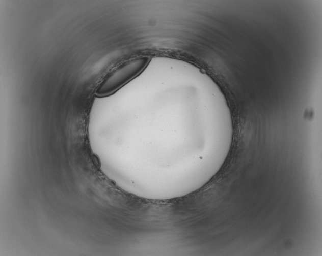 X0000111661110200908071426