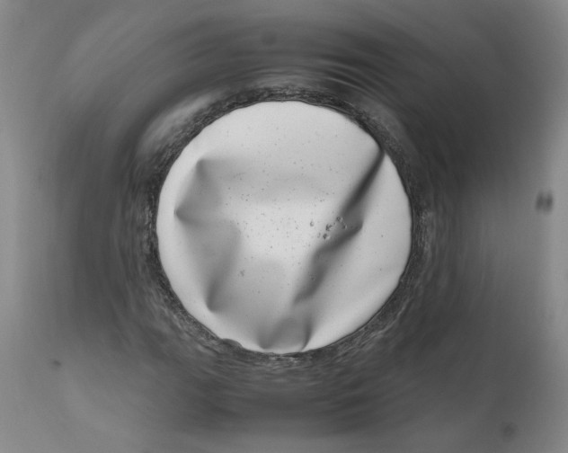 X0000111661111200908071426