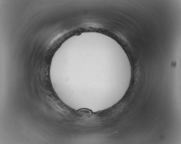 X0000111661112200908071426