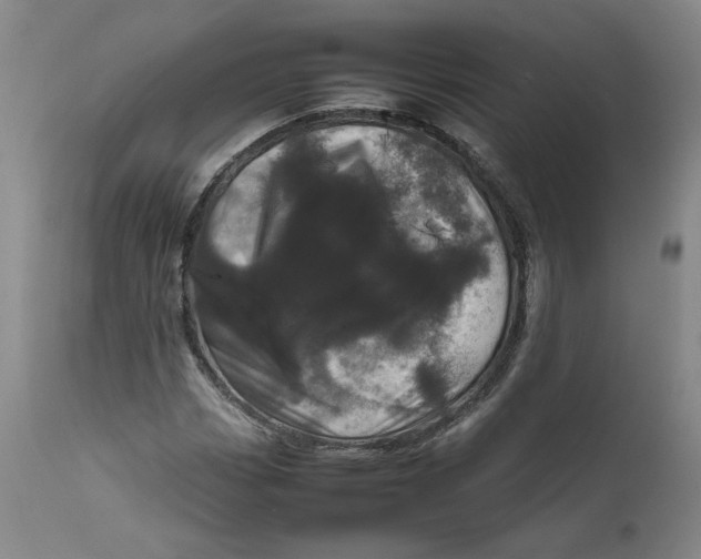 X0000111661113200908071426