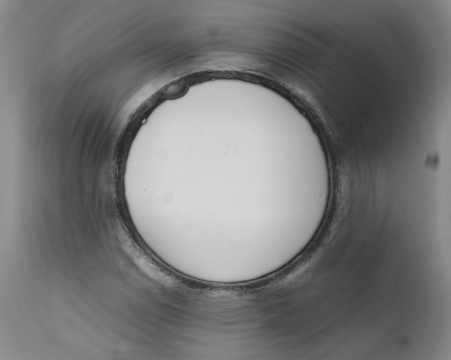 X0000111661114200908071426