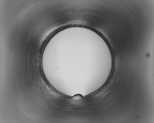 X0000111661115200908071426