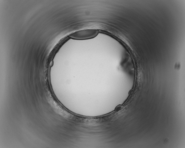 X0000111661116200908071426