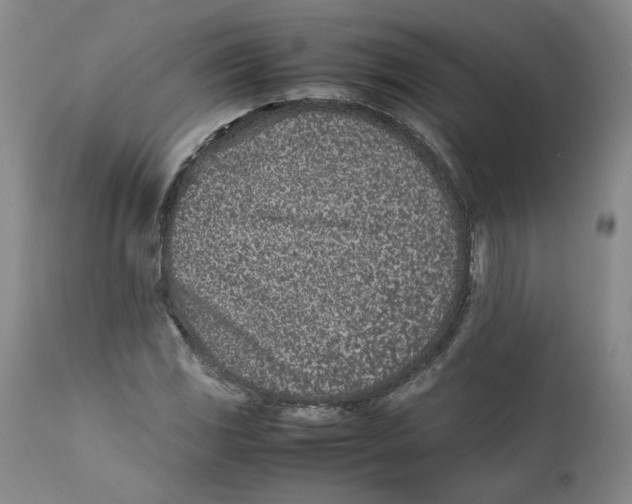 X0000111661117200908071426