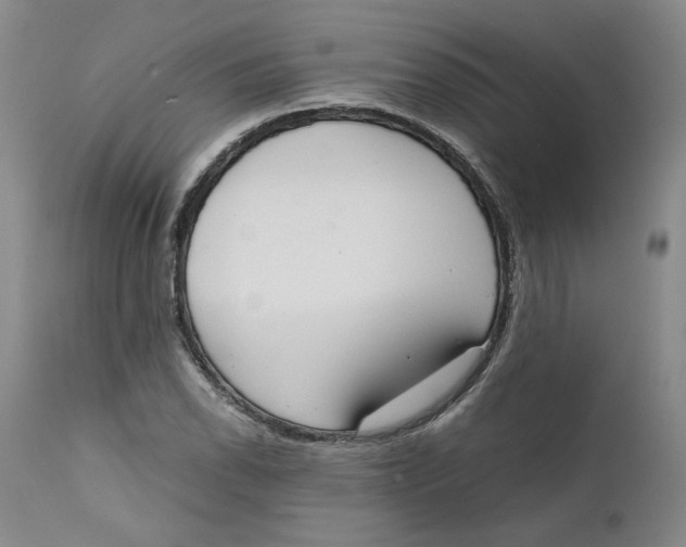 X0000111661118200908071426