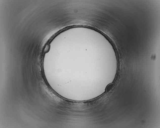 X0000111661120200908071426