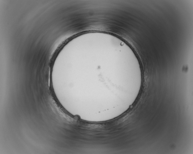 X0000111661123200908071426