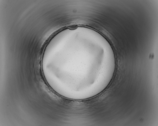 X0000111661124200908071426