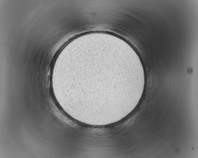 X0000111661126200908071426