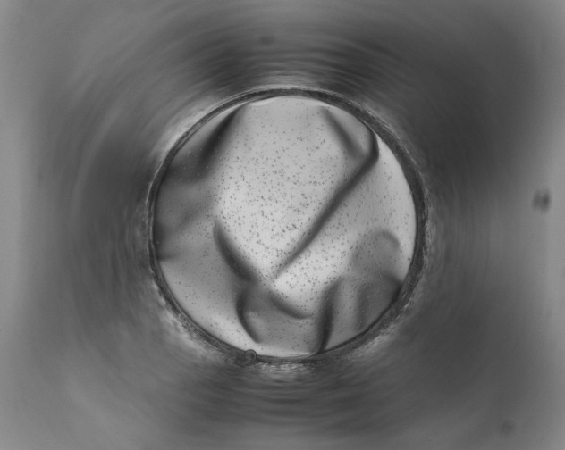 X0000111661129200908071427