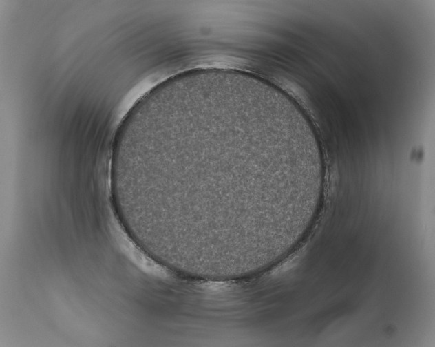 X0000111661130200908071427