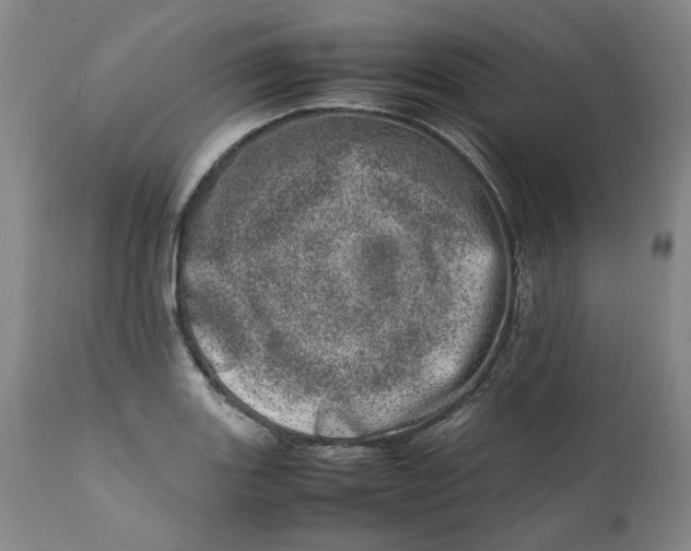 X0000111661131200908071427