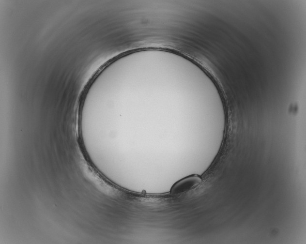 X0000111661132200908071427