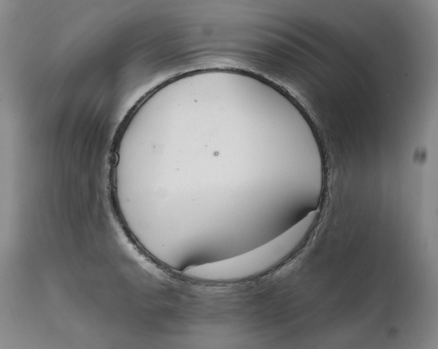 X0000111661134200908071427