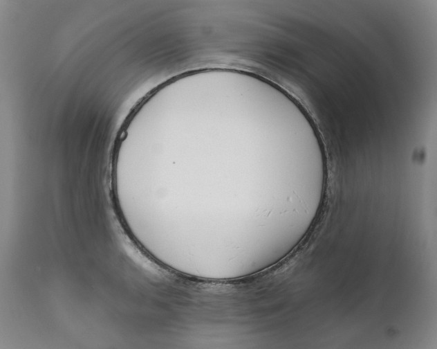 X0000111661136200908071427