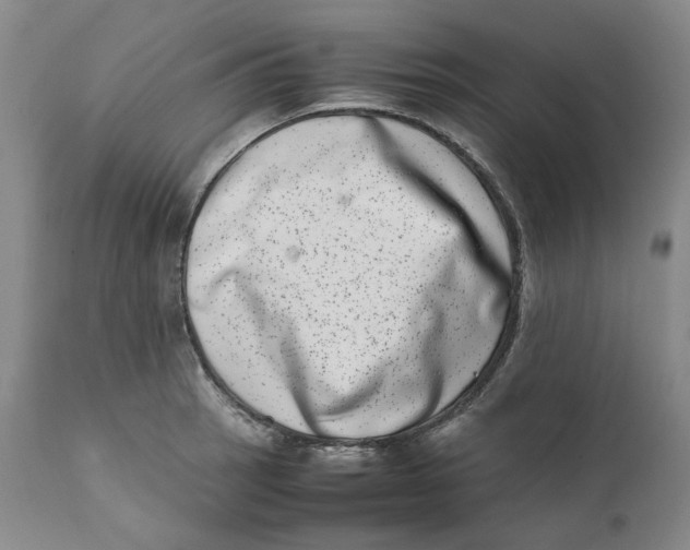 X0000111661137200908071427