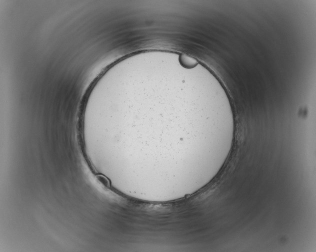 X0000111661139200908071427