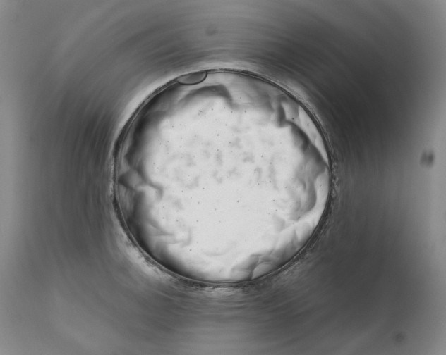 X0000111661140200908071427