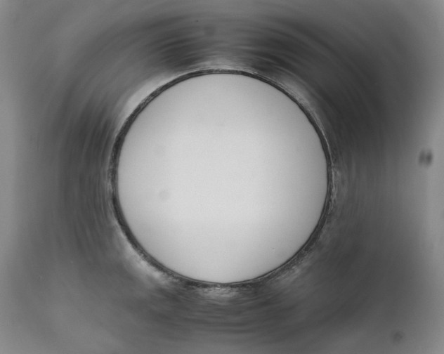 X0000111661141200908071427