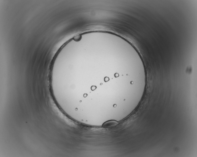 X0000111661142200908071427