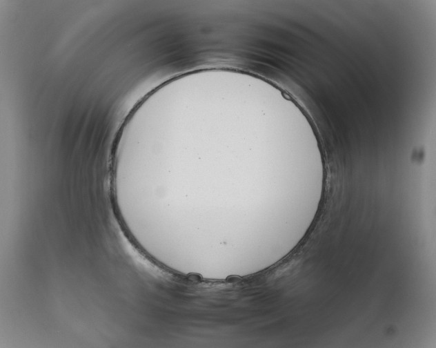 X0000111661143200908071427