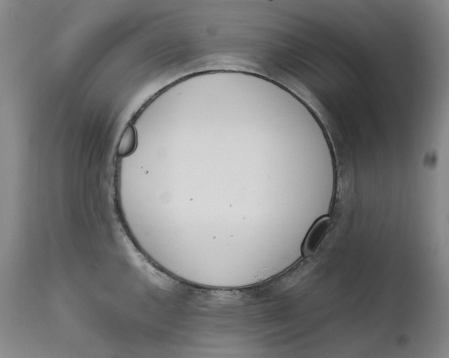 X0000111661144200908071427