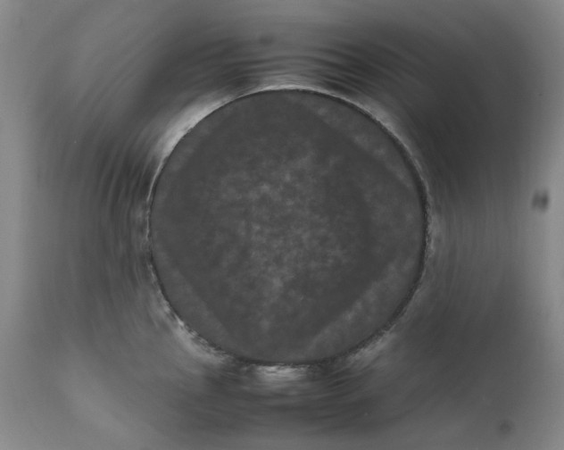 X0000111661145200908071427