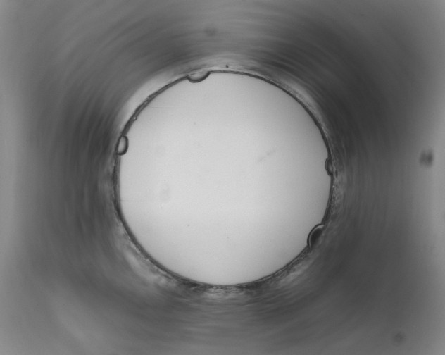 X0000111661146200908071427