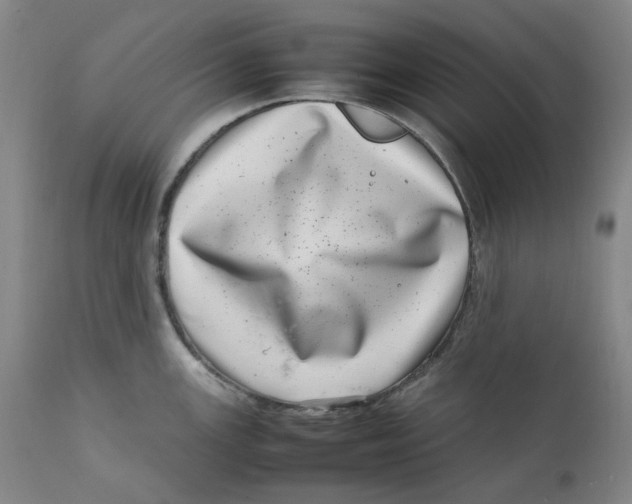 X0000111661147200908071427