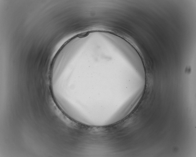 X0000111661148200908071427