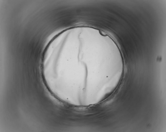 X0000111661149200908071427