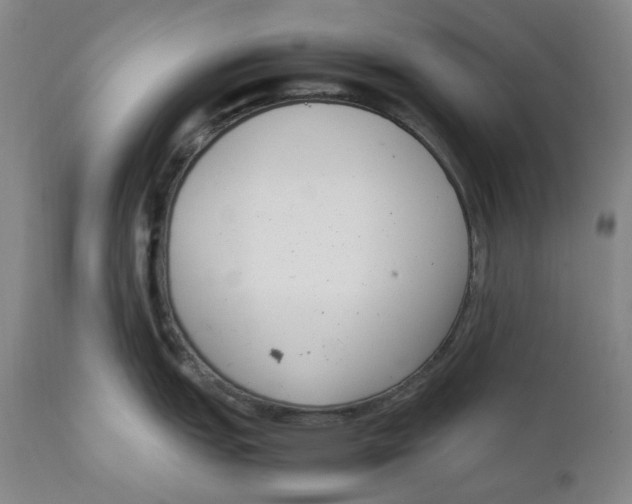 X0000111661151200908071427