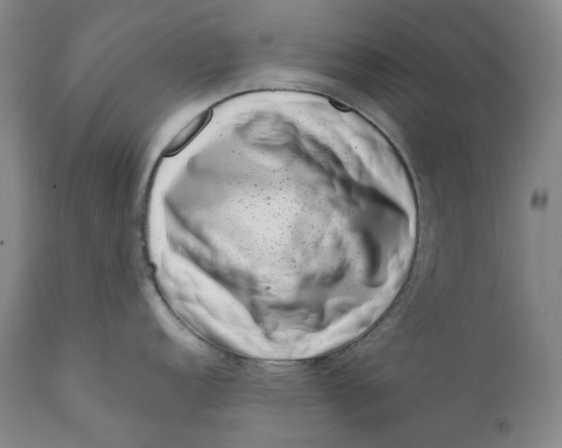 X0000111661152200908071427