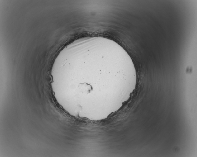 X0000111661153200908071426