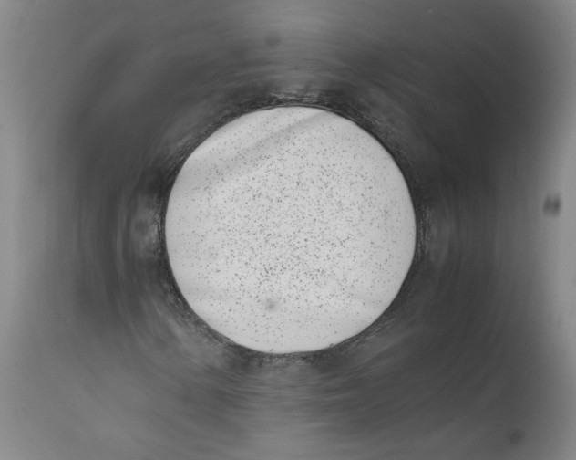 X0000111661154200908071426