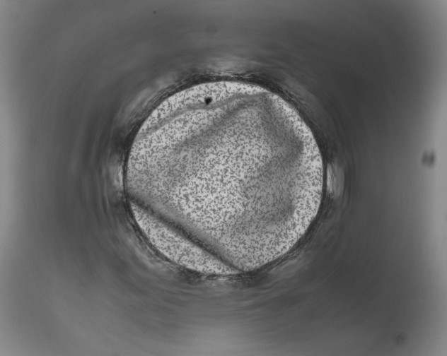 X0000111661155200908071426