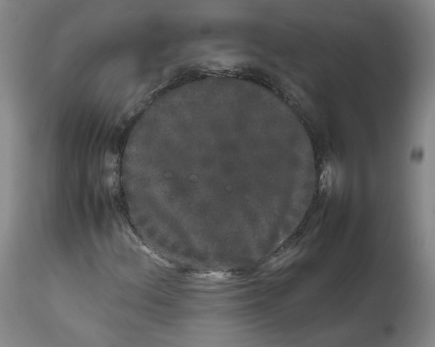 X0000111661156200908071426