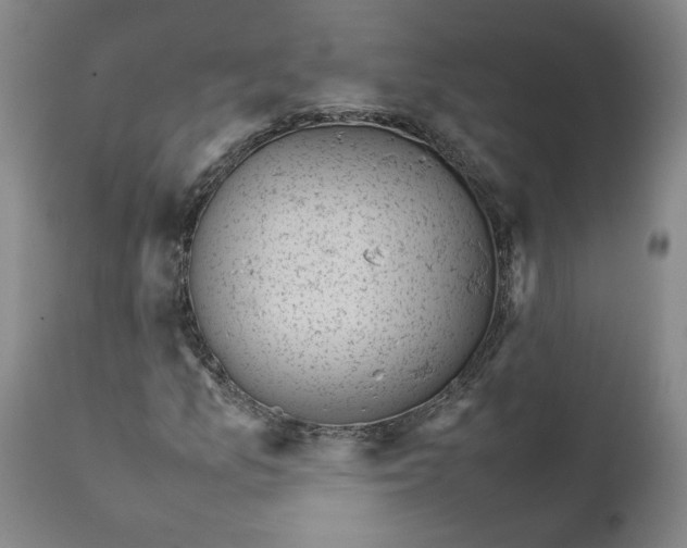 X0000111661157200908071426