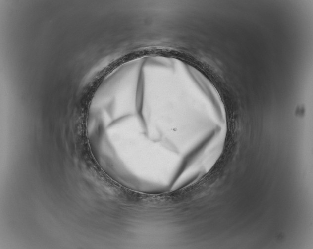 X0000111661159200908071426