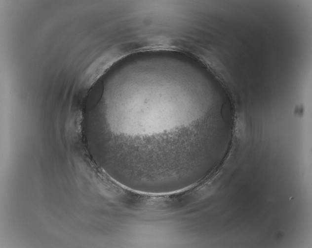 X0000111661161200908071426