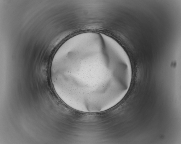 X0000111661162200908071426