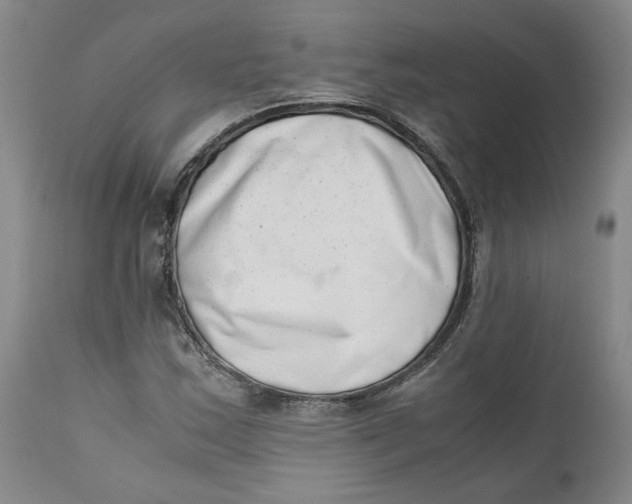 X0000111661163200908071426