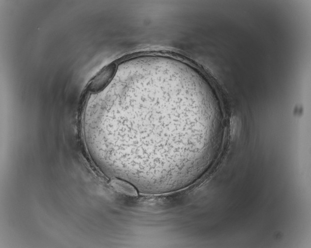 X0000111661165200908071426