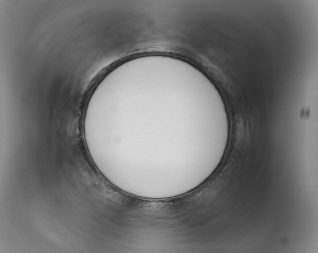 X0000111661166200908071426