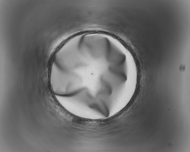 X0000111661167200908071426