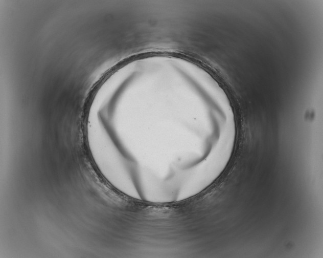 X0000111661168200908071426